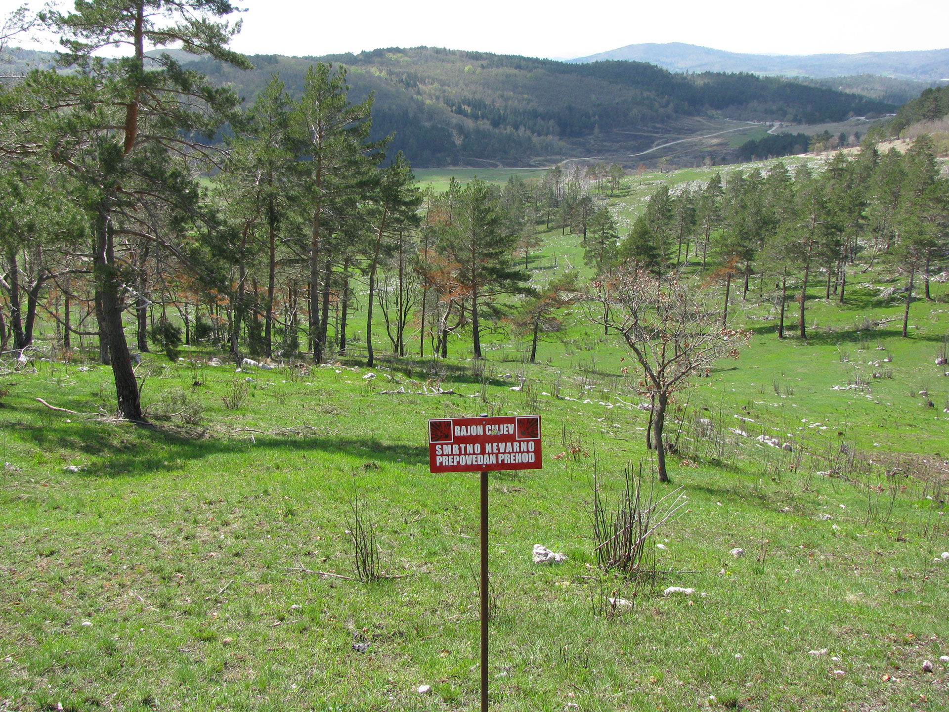 Rajon-ciljev